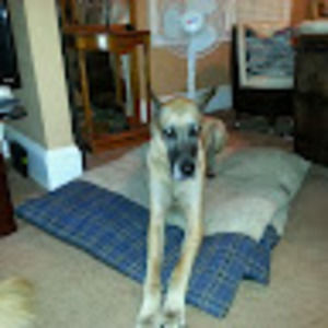 Meet your Posher, Gina